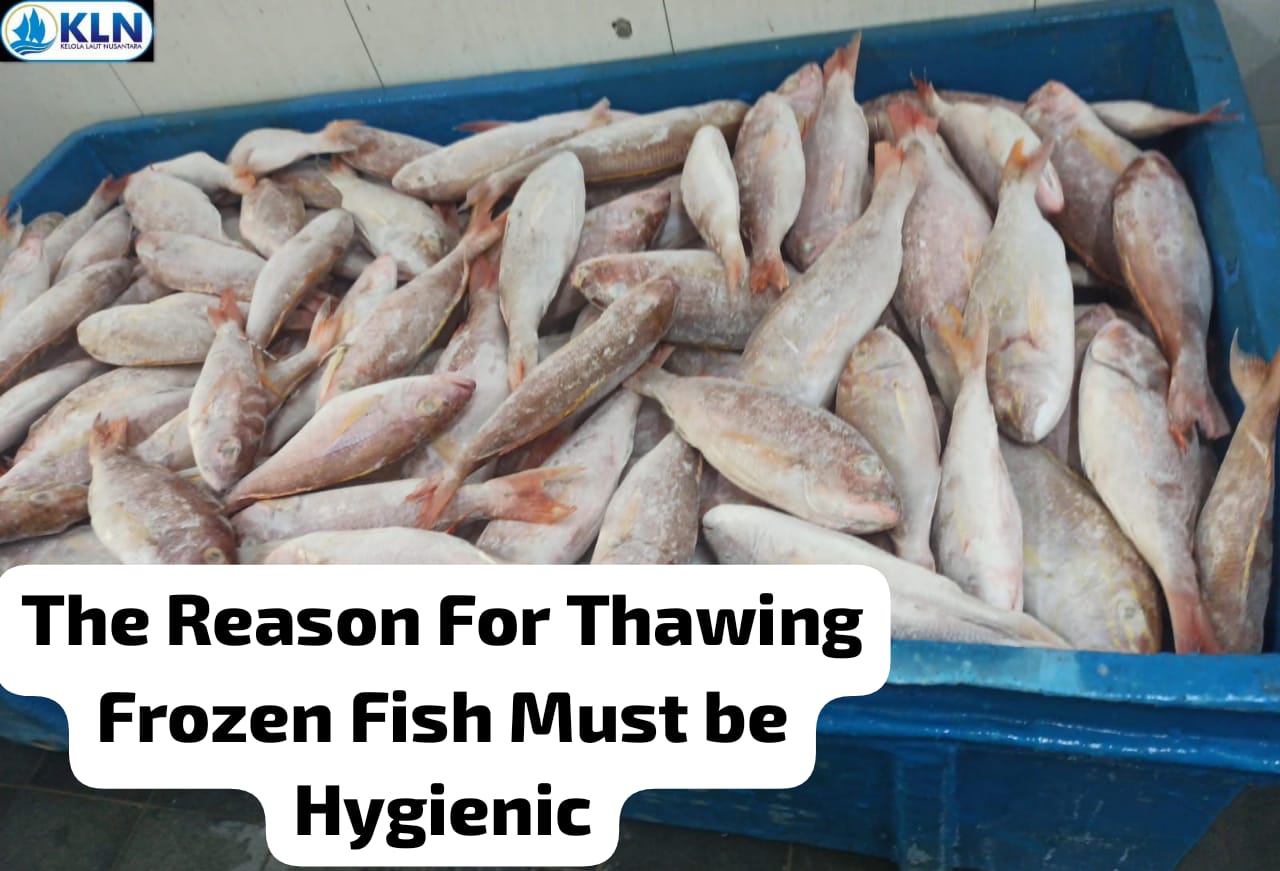 The Reason For Thawing Frozen Fish Must be Hygienic